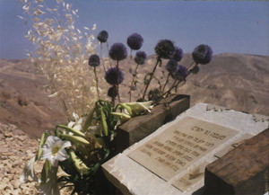  הר שלמה
